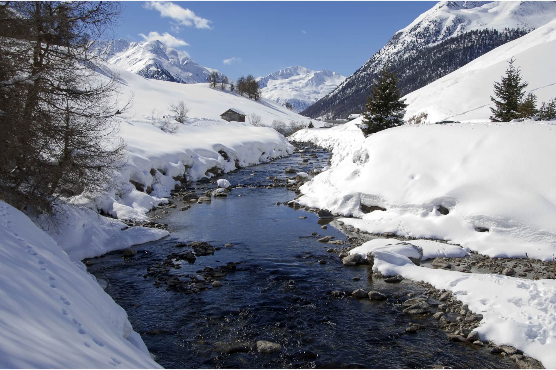 winter nature in livigno