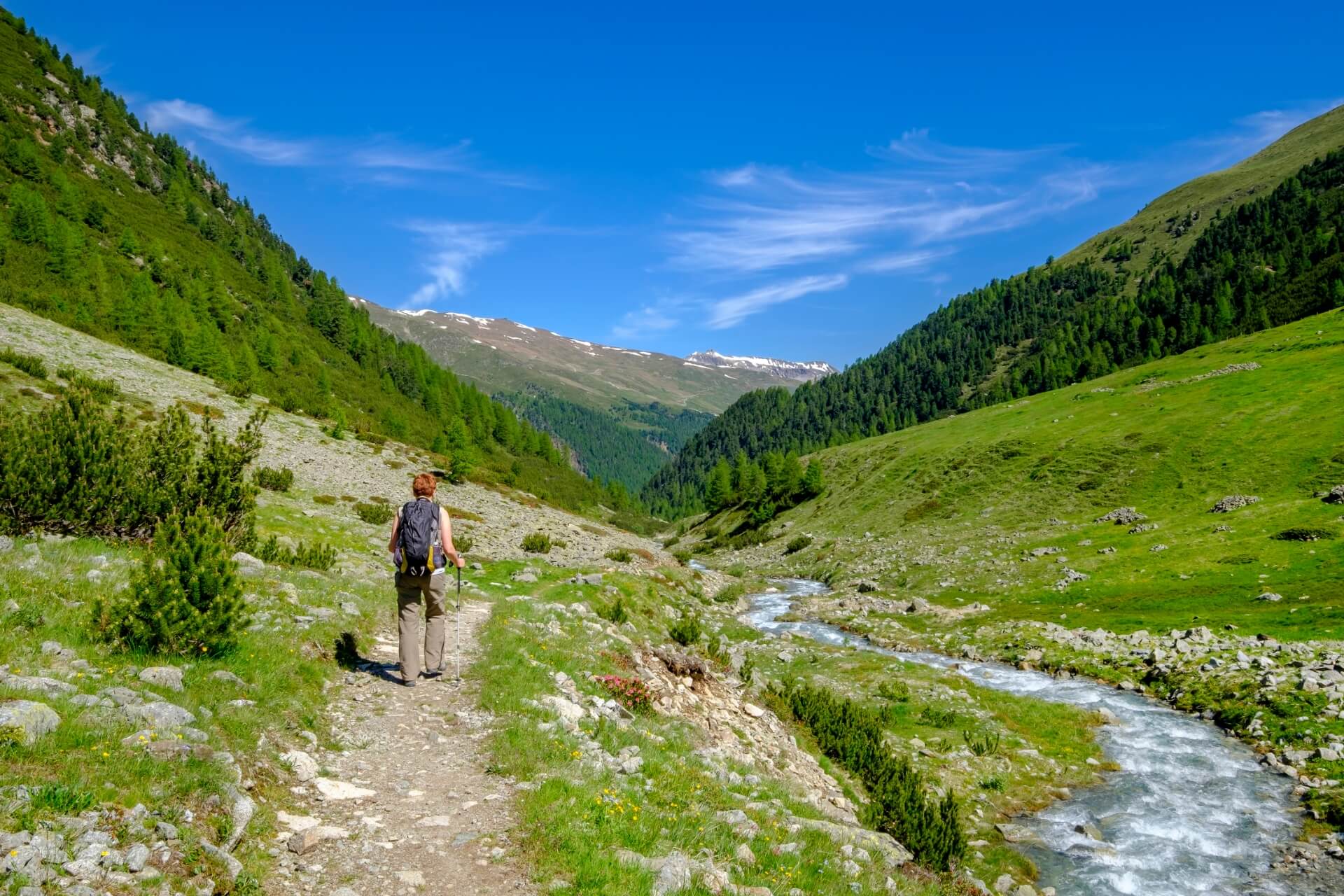 hiking, trekking e escursioni in montagna a livigno