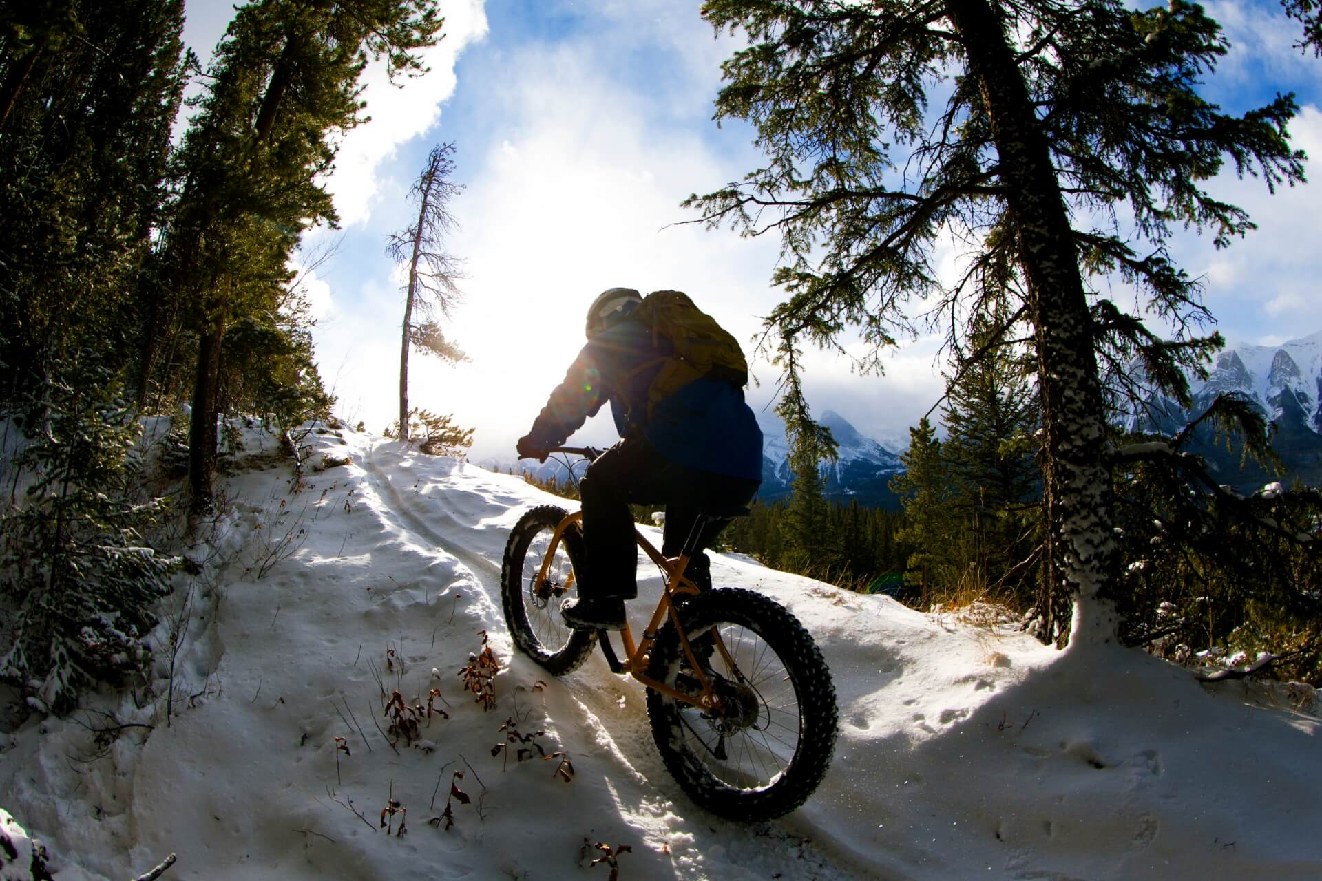 fat bike sulle Alpi